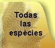 Todas las especies